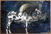 Horse Color:White Spotted Black