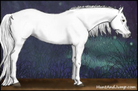 Horse Color:Gray Watercolor Bay 
