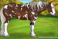 Horse Color:Gray White Spotted Silver Bay Splash 