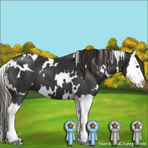 Horse Color:White Spotted Liver Chestnut Splash 