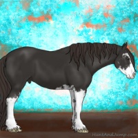 Horse Color:Liver Chestnut Sabino 