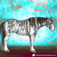 Horse Color:Liver Chestnut Sabino