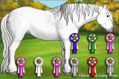 Horse Color:Gray White Spotted Liver Chestnut Splash 