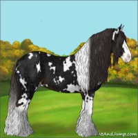 Horse Color:White Spotted Liver Chestnut Ice Splash 