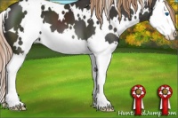 Horse Color:White Spotted Liver Chestnut Splash 