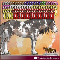 Horse Color:White Spotted Liver Chestnut Sabino Splash 