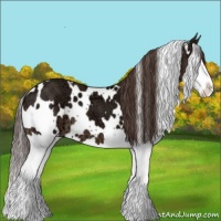 Horse Color:White Spotted Liver Chestnut Ice Sabino Splash 