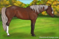 Horse Color:Silver Brown 