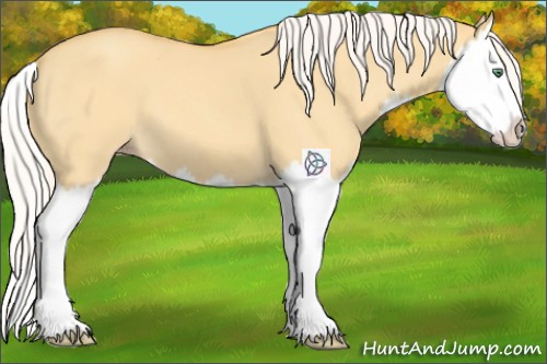 Horse Color:Silver Classic Cream Champagne Dun Splash 