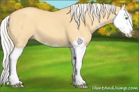Horse Color:Silver Classic Cream Champagne Dun Splash 