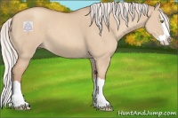 Horse Color:Silver Classic Champagne Dun Splash