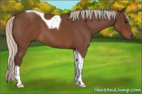 Horse Color:Silver Buckskin Roan Tobiano 