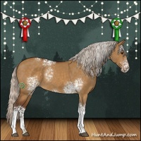 Horse Color:White Spotted Silver Buckskin Dun 