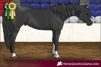 Horse Color:Black Tobiano Rabicano