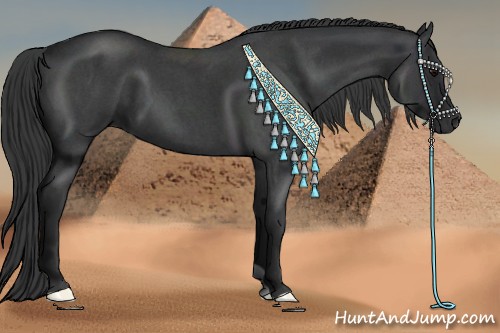 Horse Color:Blue Roan 