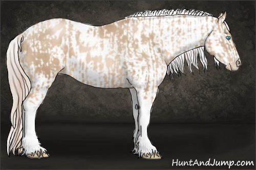Horse Color:Chocolate Palomino Pearl Tobiano Frame  and Chocolate Palomino Pearl Tobiano Frame Appaloosa 
