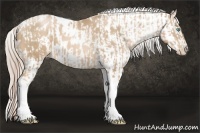 Horse Color:Chocolate Palomino Pearl Tobiano Frame and Chocolate Palomino Pearl Tobiano Frame Appaloosa