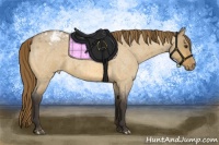 Horse Color:Buckskin Roan Dun Varnish