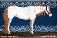 Horse Color:Red Onyx Pearl Appaloosa