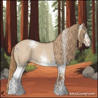 Horse Color:White Spotted Red Dun 