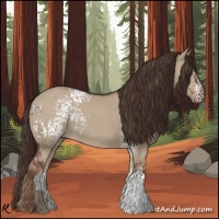 Horse Color:White Spotted Liver Red Dun Rabicano 