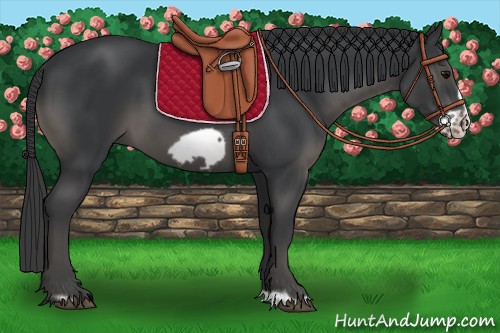 Horse Color:Black Frame 