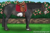 Horse Color:Black Frame 