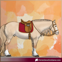 Horse Color:Red Dun Splash Rabicano