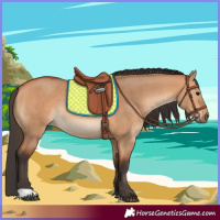 Horse Color:Bay Dun