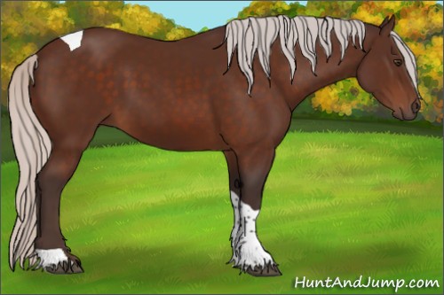 Horse Color:Silver Brown Tobiano