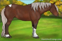 Horse Color:Silver Brown Tobiano 