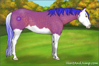 Horse Color:Watercolor Buckskin Splash 