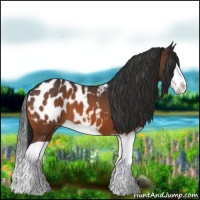 Horse Color:Bay Splash Blanket 