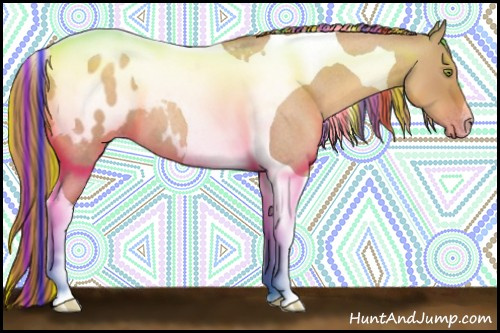 Horse Color:Gray Painted Gold Champagne Roan Dun Tobiano Appaloosa 