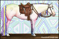 Horse Color:Gray Painted Gold Champagne Dun Splash Tobiano 