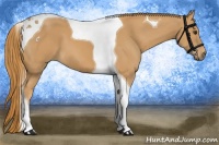 Horse Color:Chestnut Tobiano 
