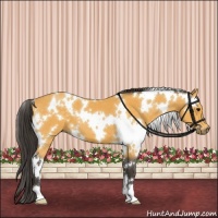 Horse Color:White Spotted Buckskin