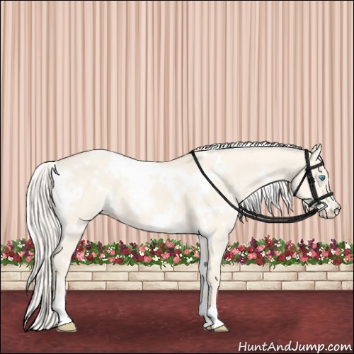 Horse Color:White Spotted Cremello Dun