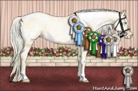 Horse Color:White Spotted Palomino Pearl Dun 