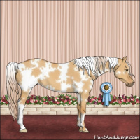Horse Color:White Spotted Palomino Dun 