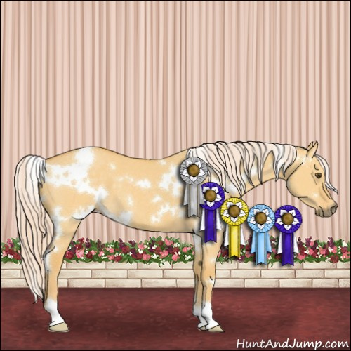 Horse Color:White Spotted Palomino Dun 