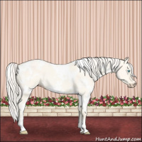Horse Color:White Spotted Cremello Dun