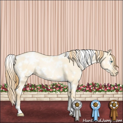 Horse Color:White Spotted Smoky Grullo Pearl 
