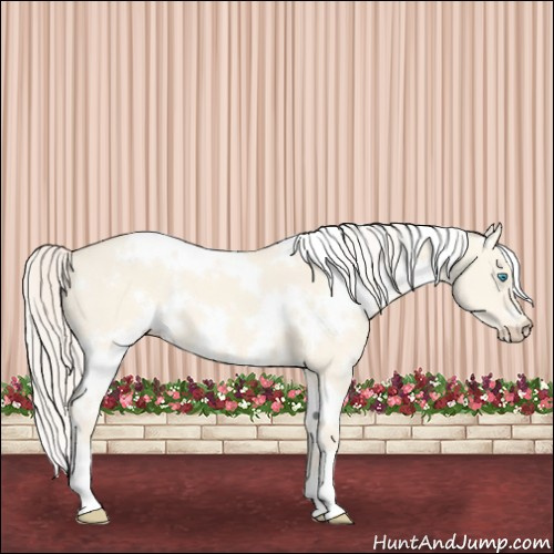 Horse Color:White Spotted Cremello Dun 