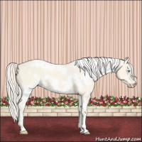 Horse Color:White Spotted Cremello Dun 