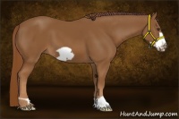 Horse Color:Chestnut Frame 