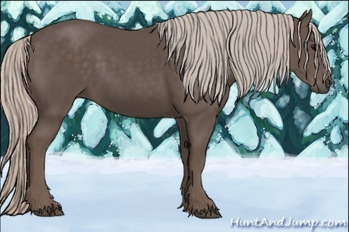 Horse Color:Silver Black 