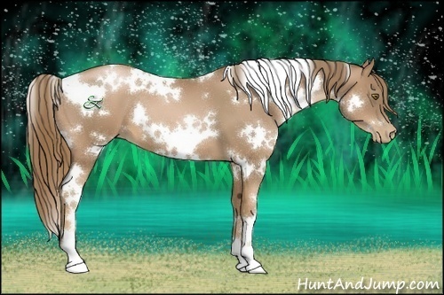 Horse Color:White Spotted Liver Chestnut Pearl 