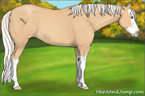 Horse Color:Silver Amber Champagne Splash 