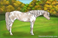 Horse Color:White Spotted Chocolate Palomino Pearl